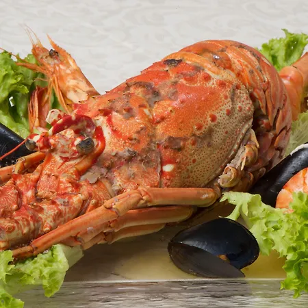 Odyssey & 4* Agia Efimia